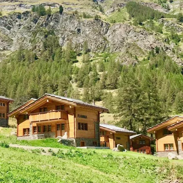 Element Chalets Zermatt，位于采尔马特的酒店