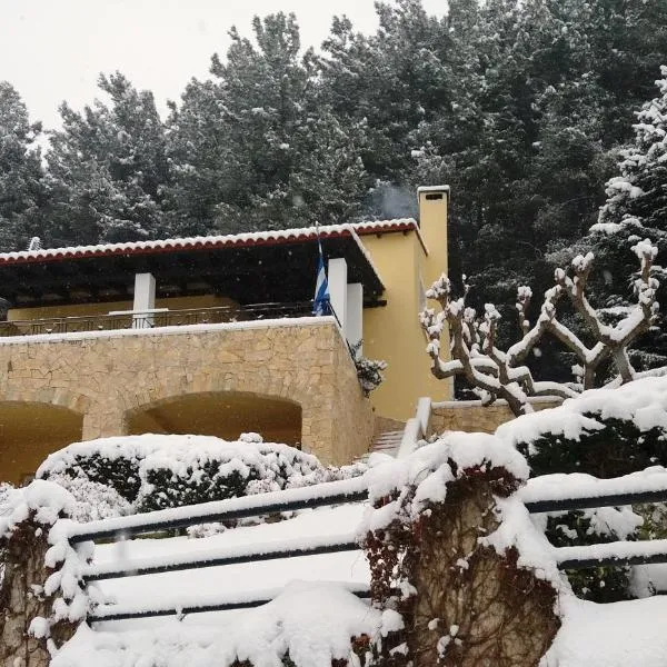 Six Steps From The Forest，位于Zigós的酒店