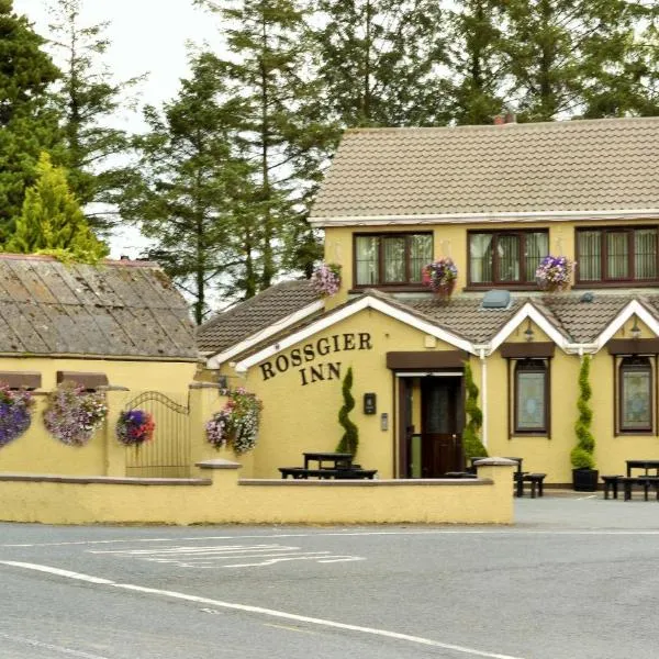 Rossgier Inn，位于Castlefinn的酒店