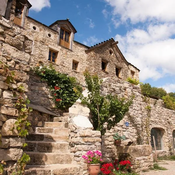 La ferme des Cévennes，位于Sainte-Croix-Vallée-Française的酒店