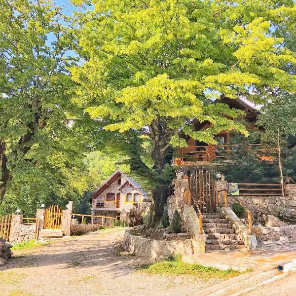 Chalet Kujta，位于Boge的酒店