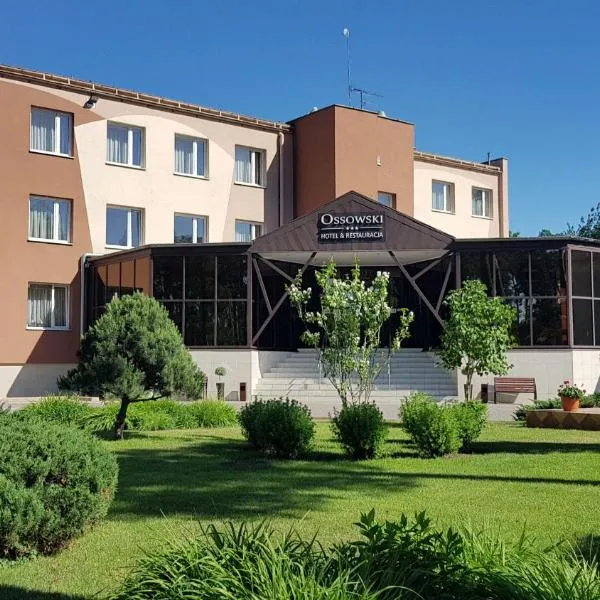 奥索夫斯基酒店，位于Janikowo的酒店