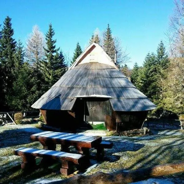 Chalet Kanja Velika Planina，位于卢斯的酒店