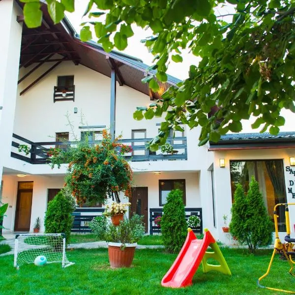 Pensiunea Puiu，位于Afumaţi的酒店