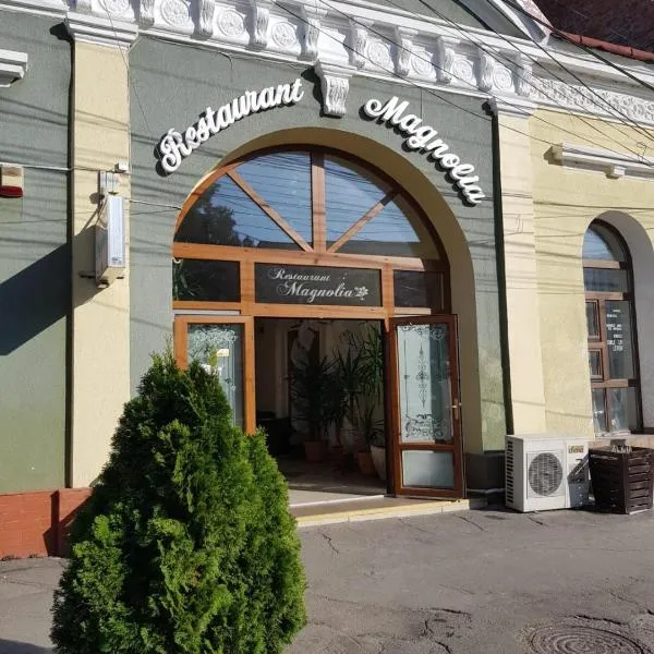 Hotel Magnolia，位于Rîmeţi的酒店