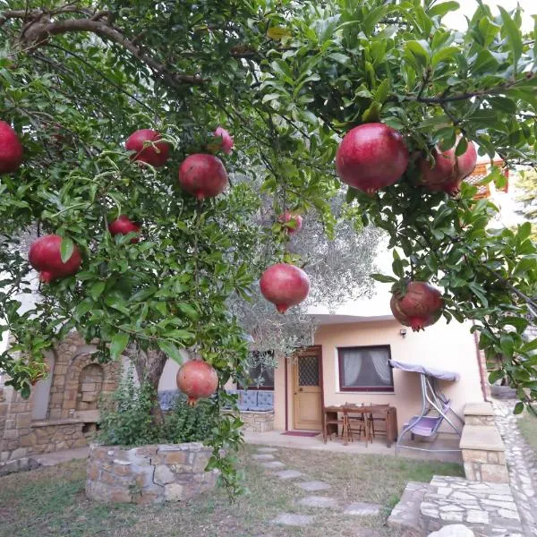 Aslanis-Souroti Garden FAMILY Suite，位于Agios Antonios的酒店