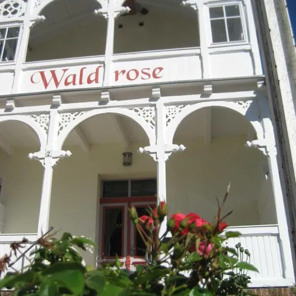 Pension Waldrose，位于奥斯赛拜-塞林的酒店