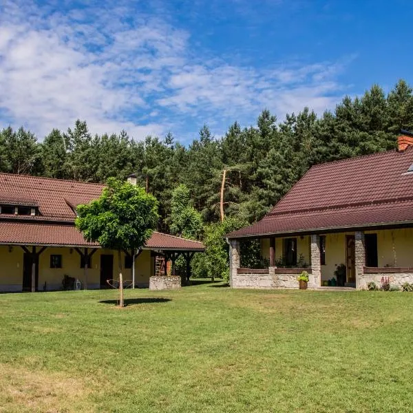 Dom przy Rezerwacie，位于Jabłonka Stara的酒店