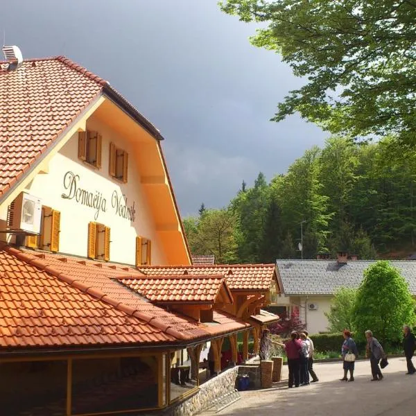 Domačija Vodnik & Apartments，位于Šenturska Gora的酒店