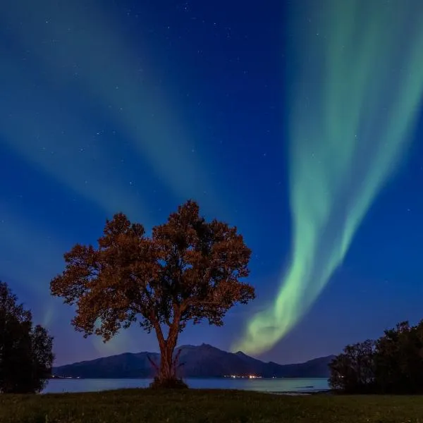 Arctic Garden，位于勒丁恩的酒店