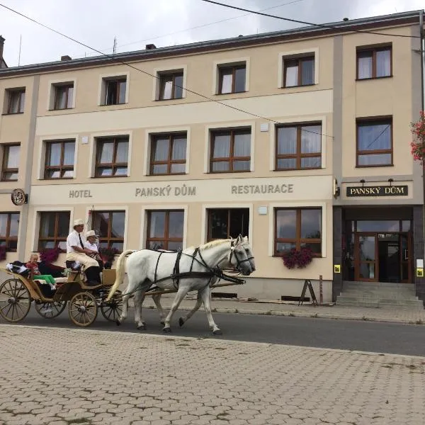 庄园酒店，位于Nezvěstice的酒店