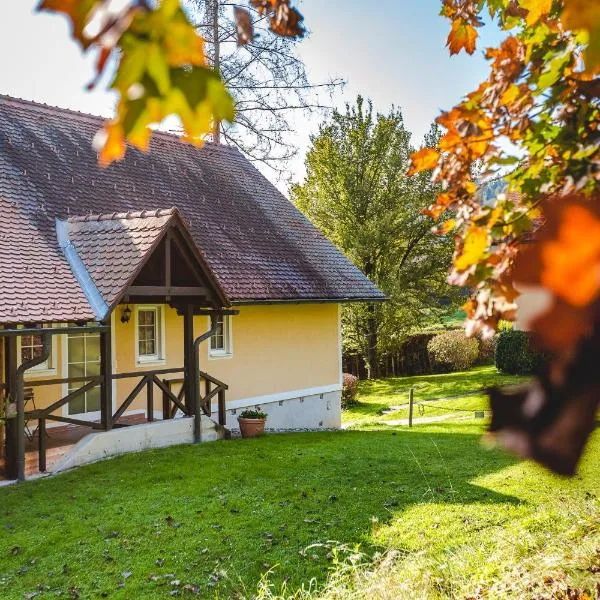 Landhaus Piber，位于Piber的酒店