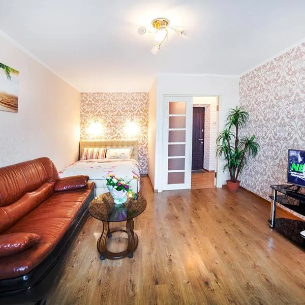 VIP-flat in the center of Vishenka，位于文尼察的酒店