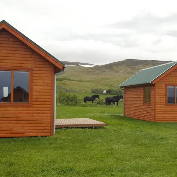 华姆斯唐吉小屋酒店，位于Breiðabólsstaður的酒店