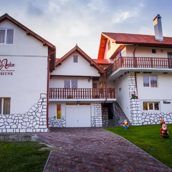 Pensiunea SilvAnka，位于Coşeni的酒店