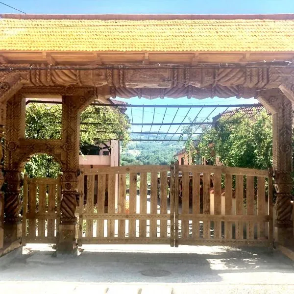 Pensiunea Sasu，位于Şieu的酒店