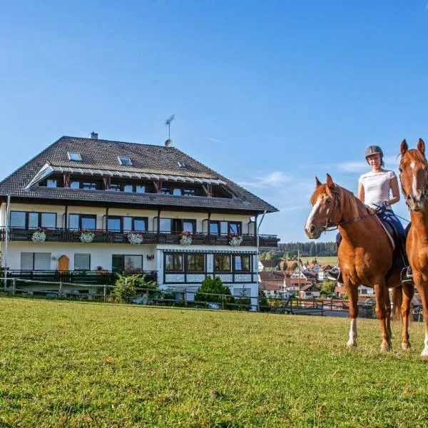 Landpension Pferdekoppel - Self Checkin，位于Schönegründ的酒店