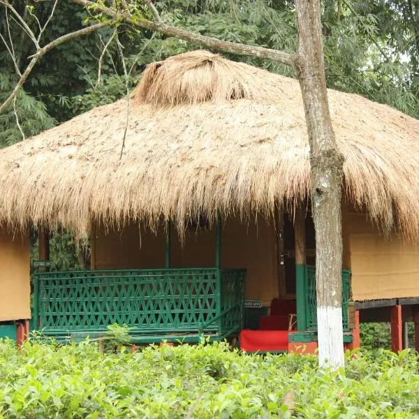 Nature Hunt Eco Camp，位于卡齐兰加的酒店