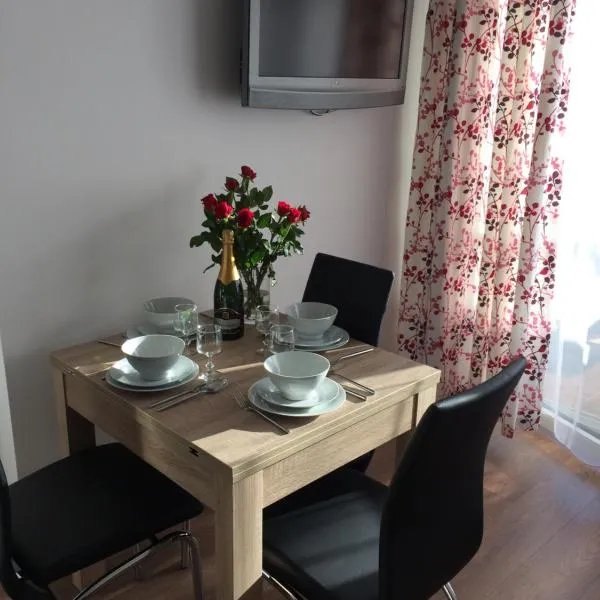 Apartament Pod sanockim zamkiem，位于萨诺克的酒店