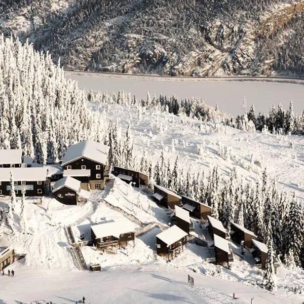 Kvitfjell Hotel Kvitfjellvegen 492，位于科威费耶尔的酒店