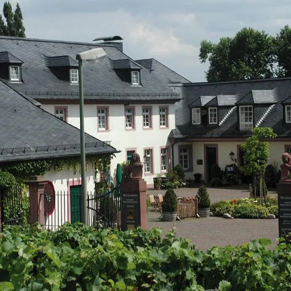 Residenz Weingut Schloss Reinhartshausen，位于埃尔特维勒的酒店