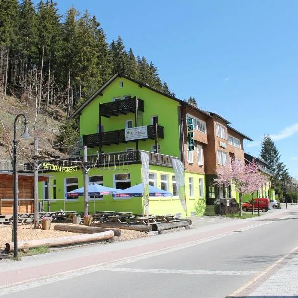 Action Forest Hotel Titisee - nähe Badeparadies，位于赛格的酒店