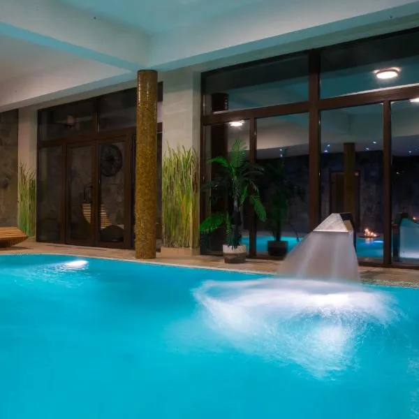 卡林娜spa酒店，位于扎沃兹的酒店