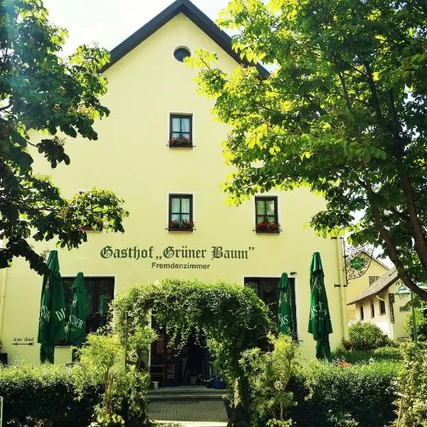 Hotel-Landgasthof Grüner Baum - Dittigheim，位于陶贝尔比绍夫斯海姆的酒店