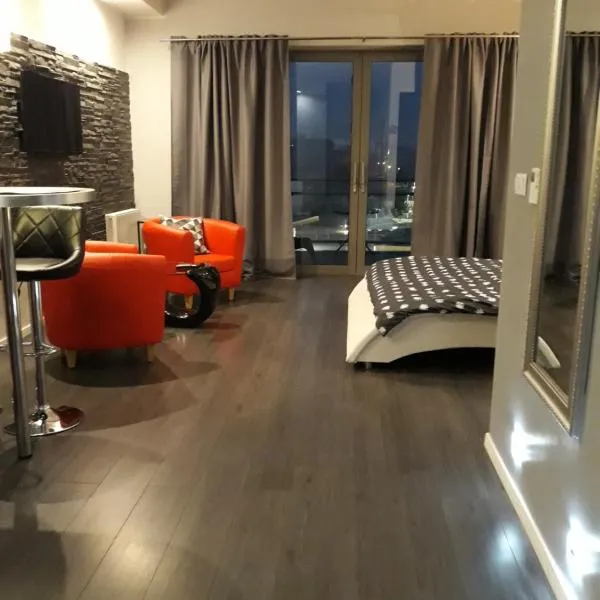 Apartament Onyx，位于波兹南的酒店