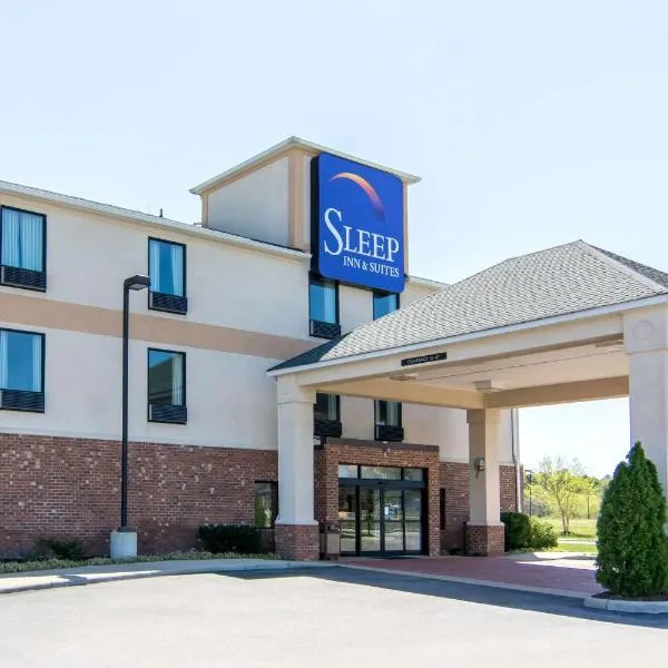 Sleep Inn & Suites near Fort Gregg-Adams，位于霍普韦尔的酒店