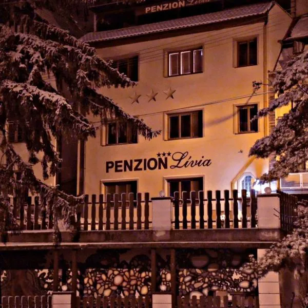 Penzionlivia,Tr.teplice，位于特伦钦温泉镇的酒店