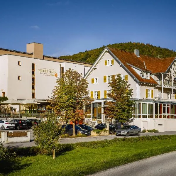 怀尔德曼乡村酒店，位于Vogelsang的酒店