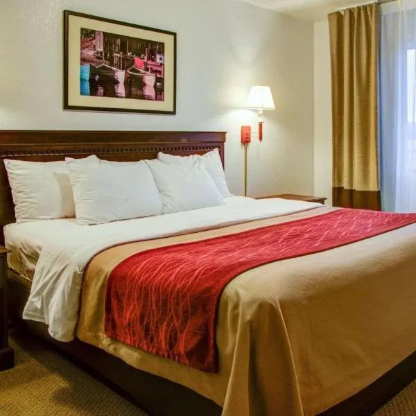 佛罗伦萨品质酒店，位于弗洛伦斯的酒店