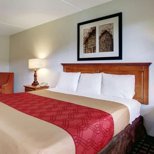 Rodeway Inn New Braunfels - San Antonio Area，位于新布朗费尔斯的酒店