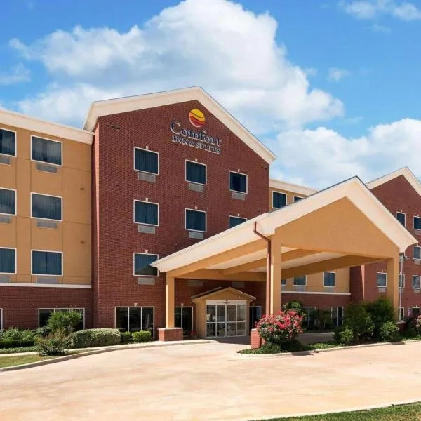 康福特茵酒店，区域医疗中心，位于阿比林的酒店