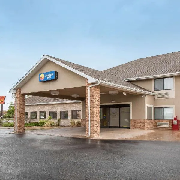 Comfort Inn Grand Junction I-70，位于弗鲁塔的酒店