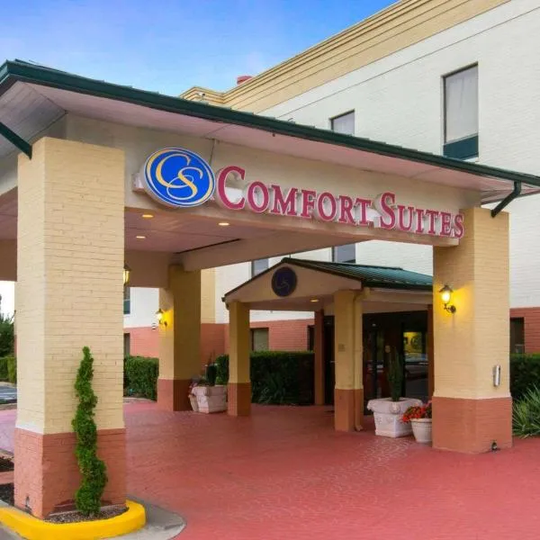 Comfort Suites Cumming-Atlanta near Northside Hospital Forsyth，位于Flowery Branch的酒店