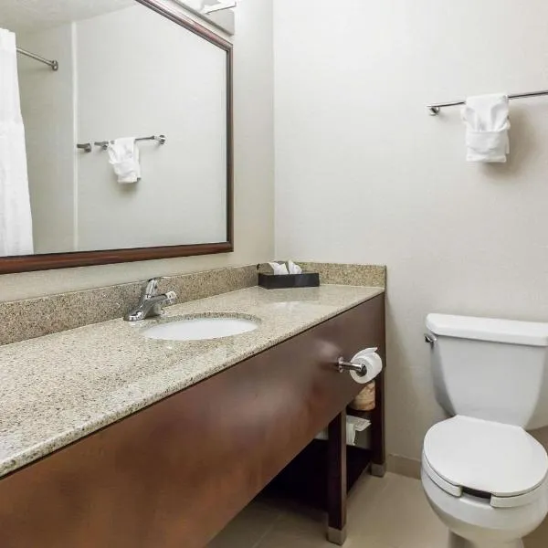 Comfort Inn & Suites Near Fallon Naval Air Station，位于法伦的酒店