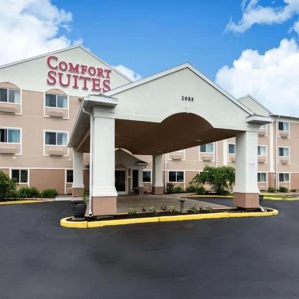 Comfort Suites Rochester Henrietta University Area，位于Ridgeland的酒店