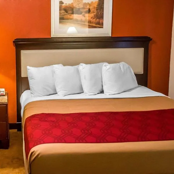 Economy Inn & Suites，位于米纳勒尔里奇的酒店