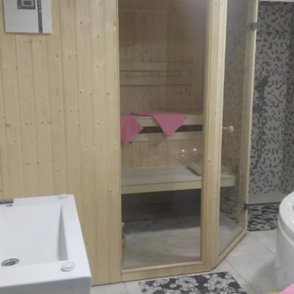 APARTMAN SAUNA "NINO"，位于Bednja的酒店