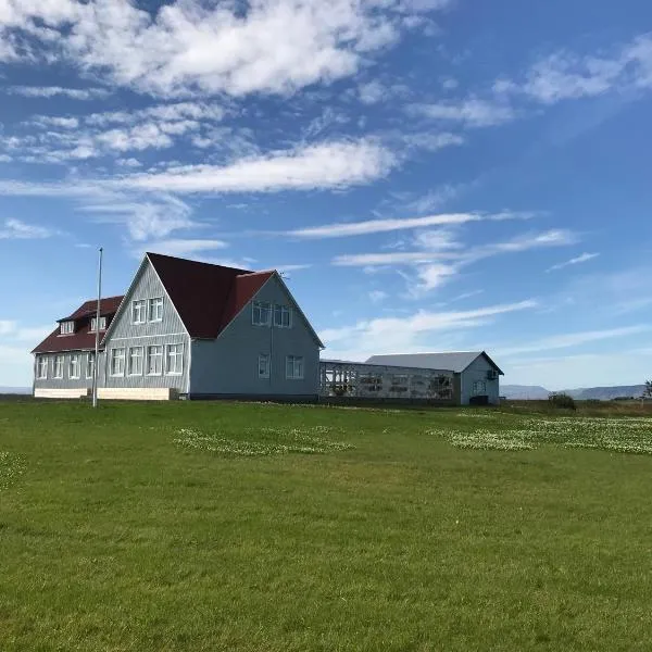 The Old School House - Gaulverjaskoli，位于Höfðatún的酒店