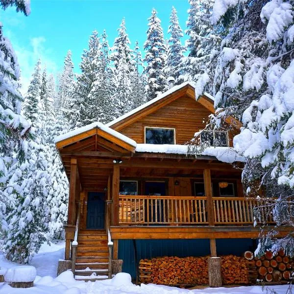 Logden Lodge，位于尼尔逊的酒店