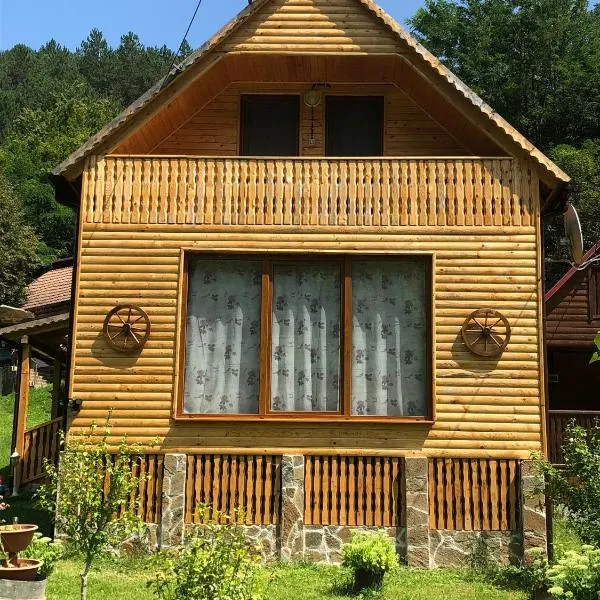 Casa de Vacanta Geoagiu de Sus，位于Stremţ的酒店