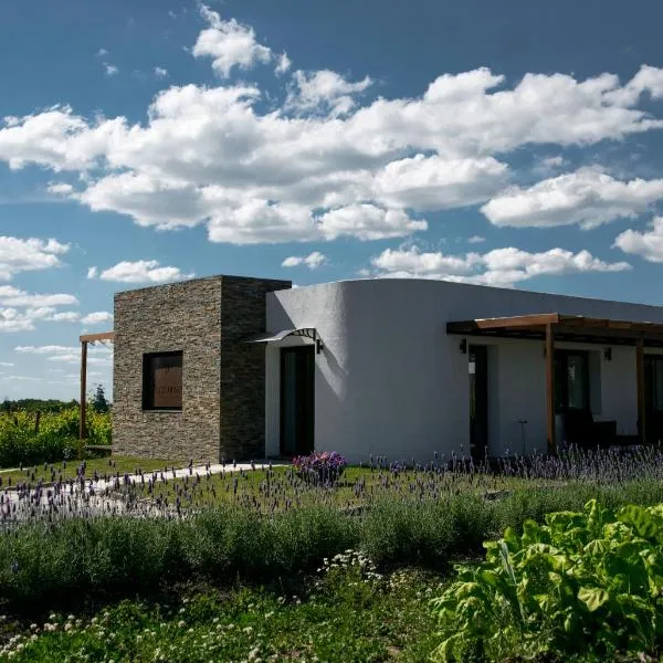 Pizzorno Lodge & Wine，位于Progreso的酒店