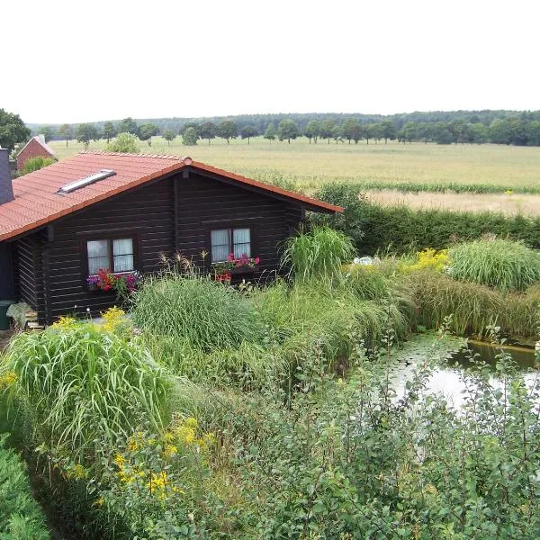 Ferienhaus Hohenlubast，位于格雷芬海尼兴的酒店