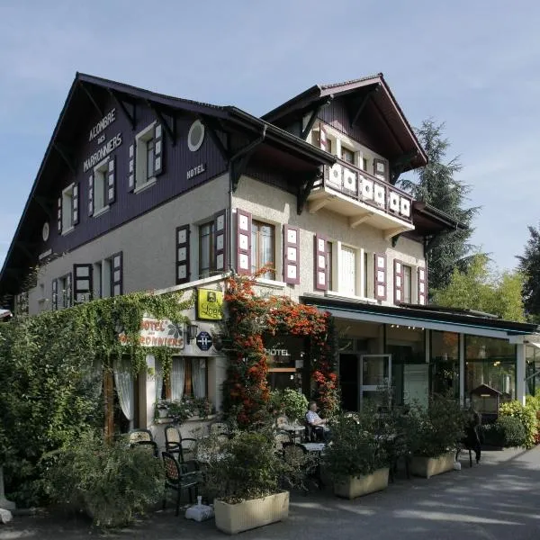 HOTEL LES MARRONNIERS，位于Vailly的酒店