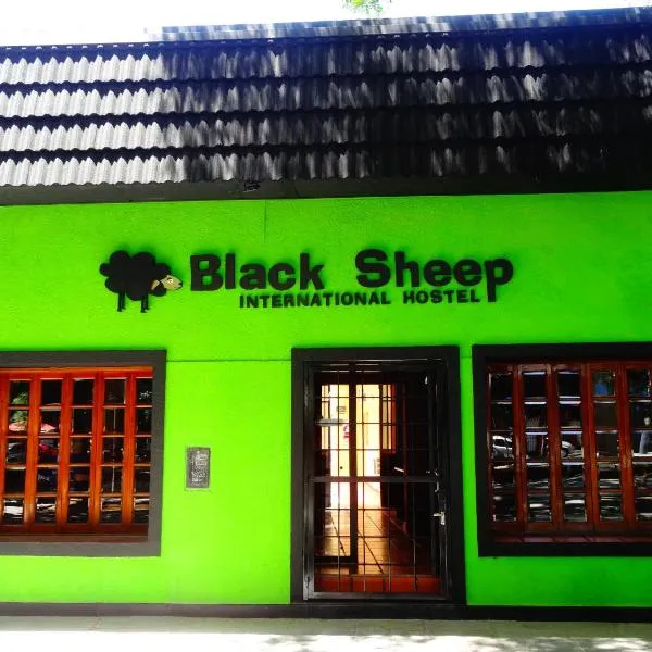 Black Sheep International Hostel，位于门多萨的酒店