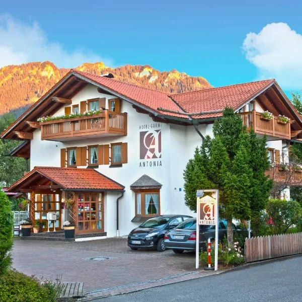 安东尼酒店，位于Schwaigen的酒店