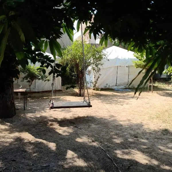 Nature Trail camps & Homestay，位于焦特布尔的酒店